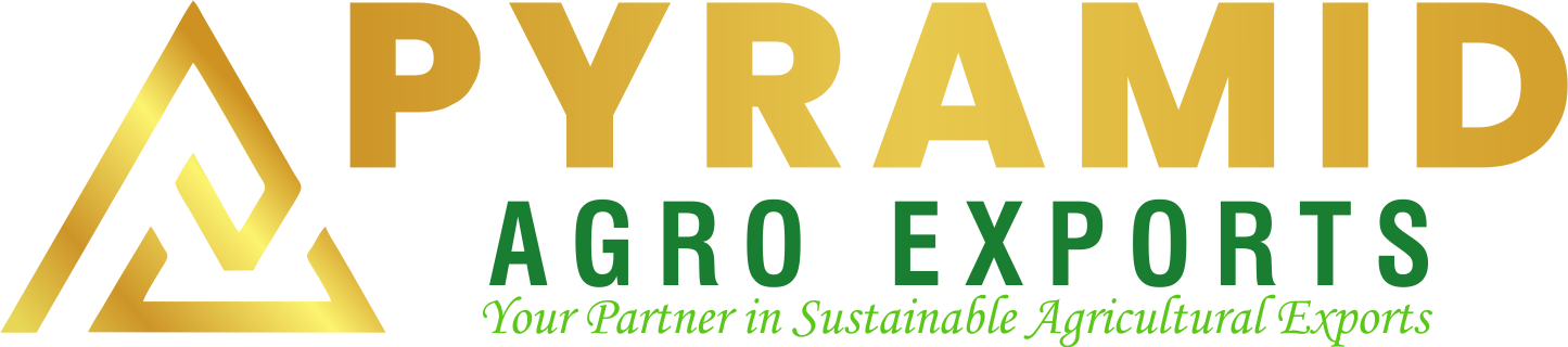 Pyramid Agro Exports Logo